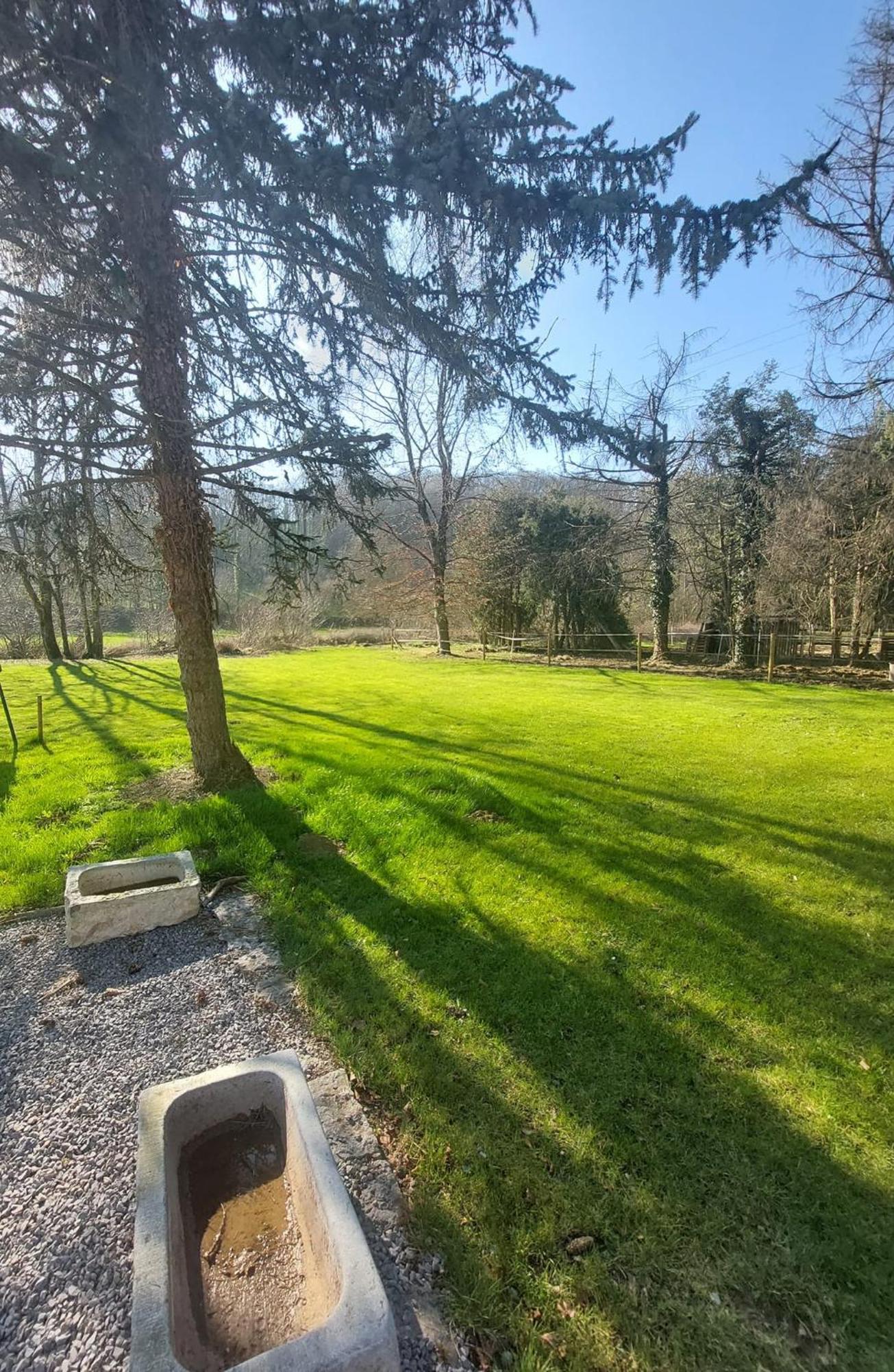 Bed and Breakfast Au Doux Chardon Durbuy Exterior foto